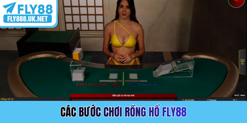 Các bước chơi rồng hổ FLY88