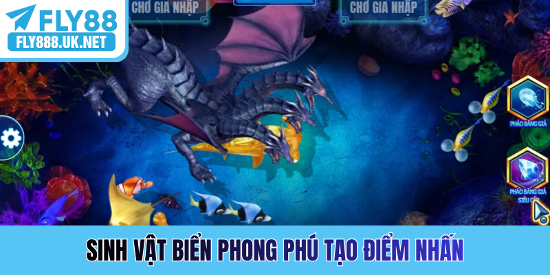 Sinh vật biển phong phú tạo điểm nhấn