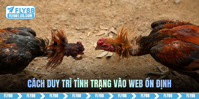 Cách duy trì tình trạng vào web ổn định